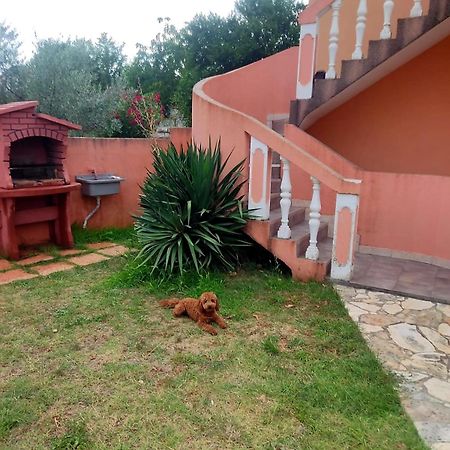 Waimarie Apartment Fazana Bagian luar foto